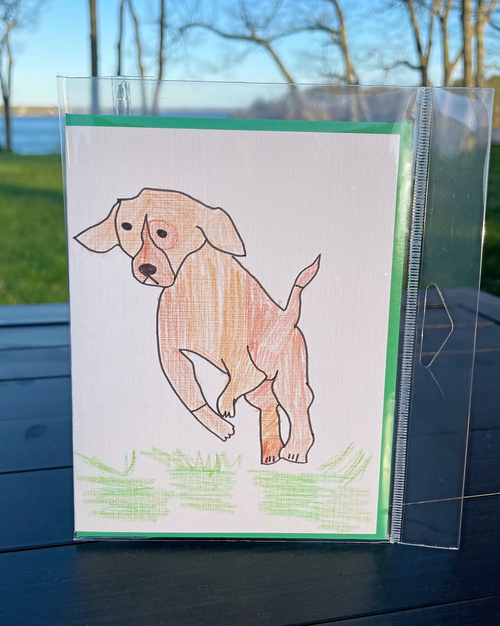beagle