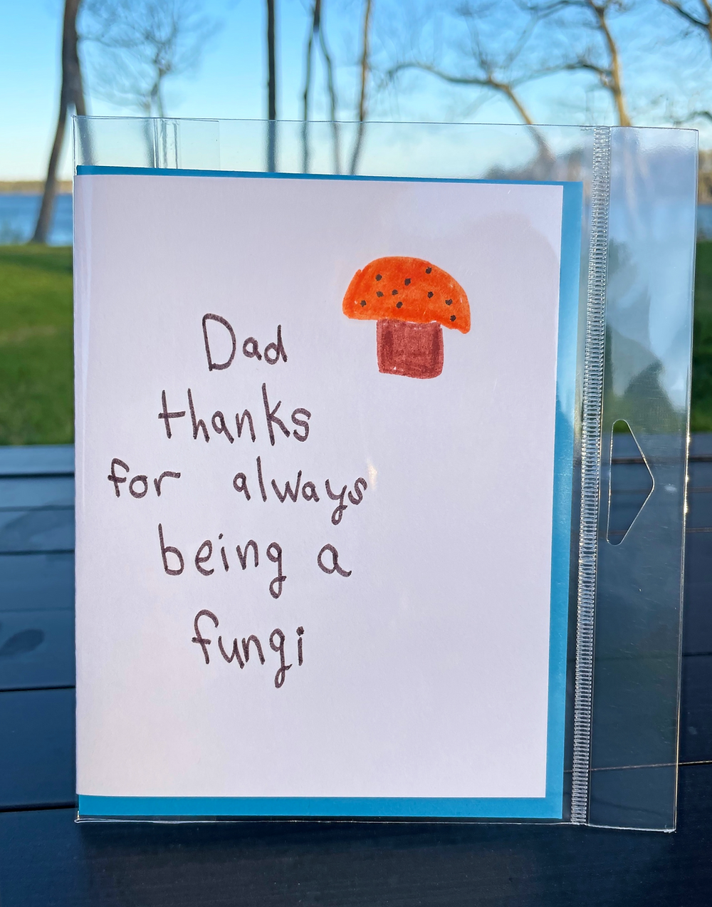 fungi - father's Day