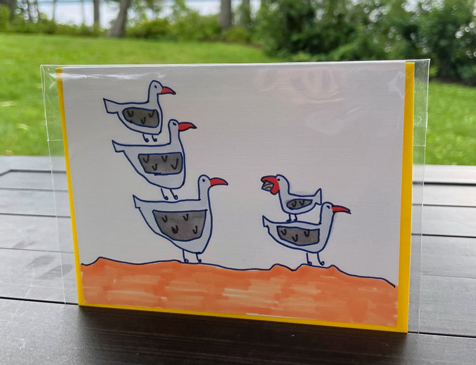 seagulls got a sandwich again