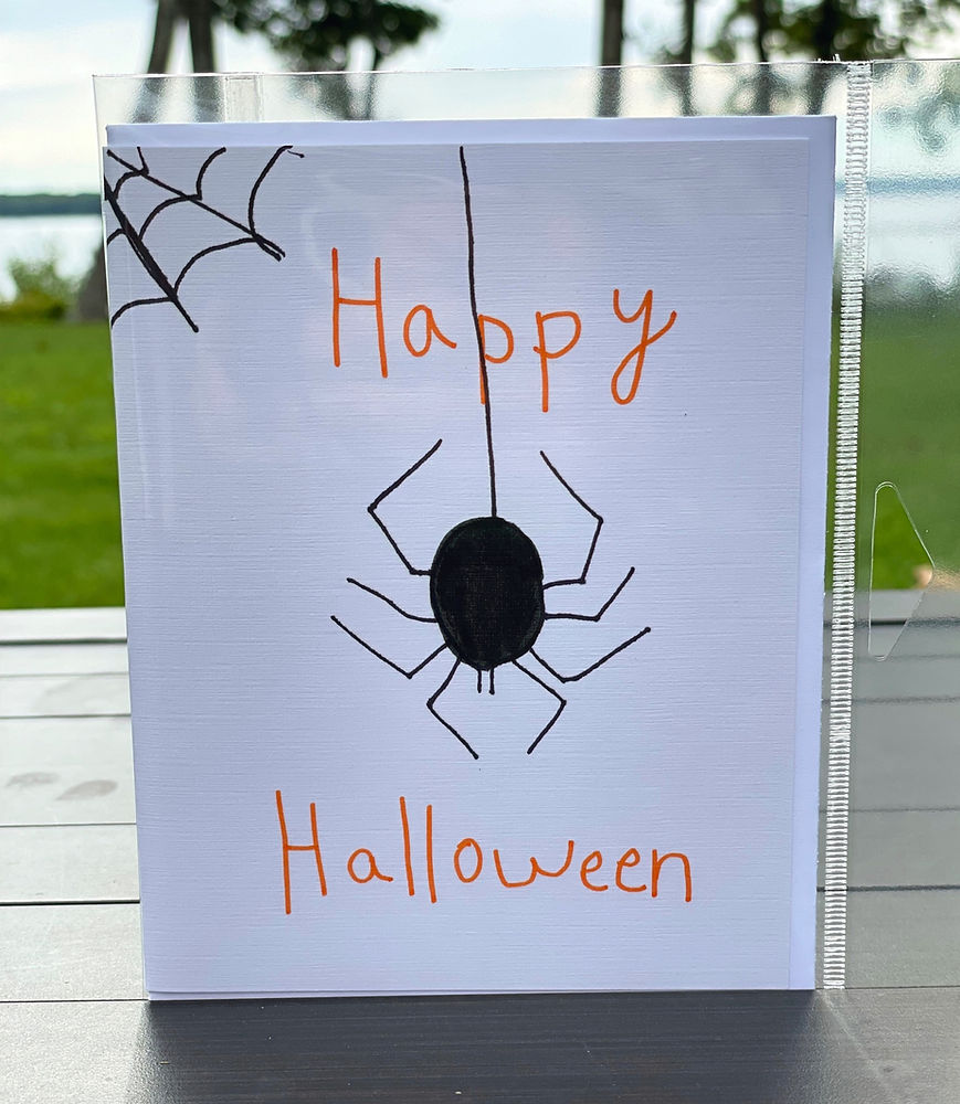 spider with her web