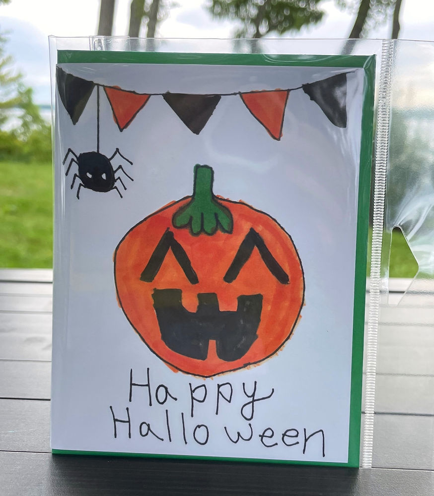 halloween pumpkin and spider